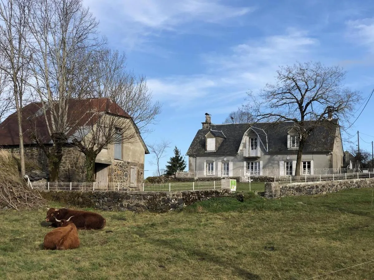 Maison De Charme Au Coeur Des Volcans, Proche De Salers, Avec Jardin Et Activites De Plein Air - Fr-1-742-288 Villa Saint-Bonnet-de-Salers Holiday home