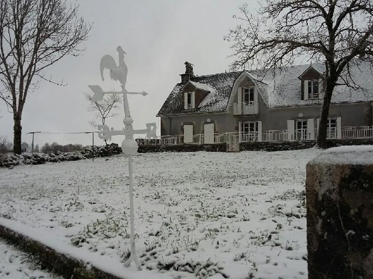 Maison De Charme Au Coeur Des Volcans, Proche De Salers, Avec Jardin Et Activites De Plein Air - Fr-1-742-288 Villa Saint-Bonnet-de-Salers